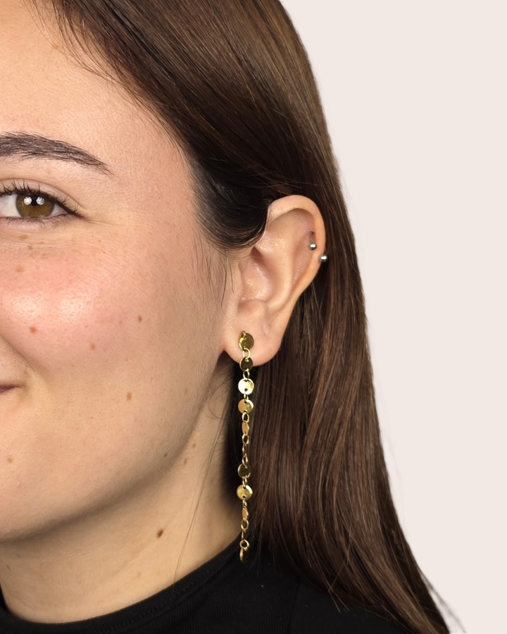 PENDIENTES LARGOS CÍRCULITOS - ACERO INOXIDABLE