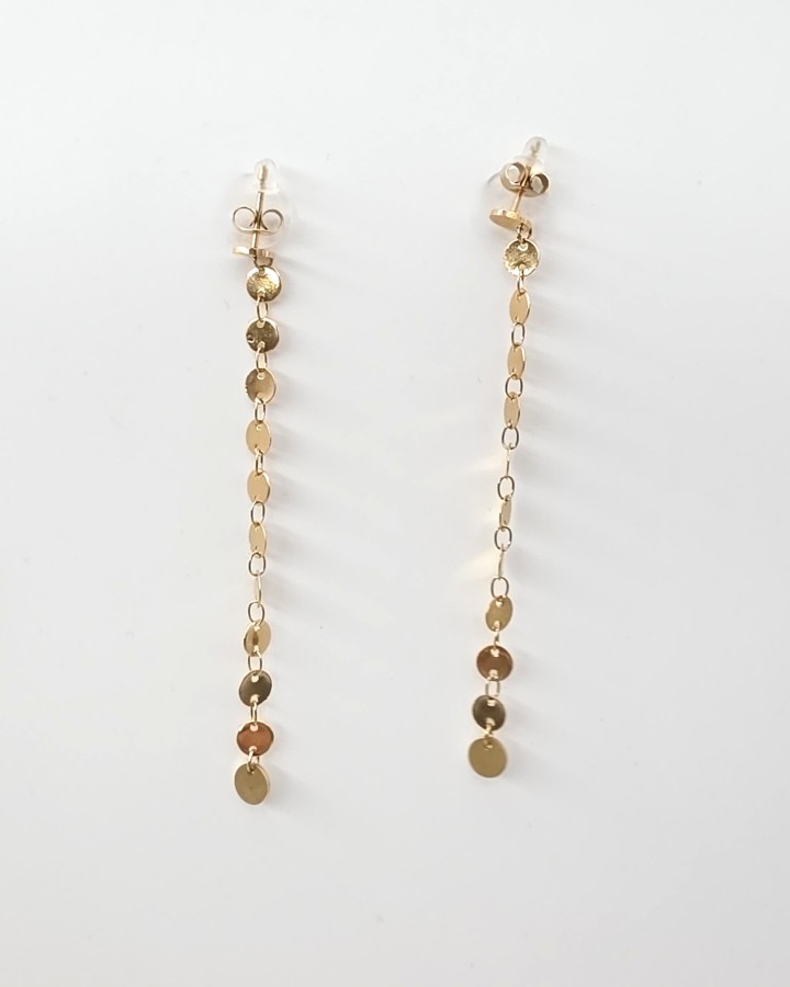 PENDIENTES LARGOS CÍRCULITOS - ACERO INOXIDABLE