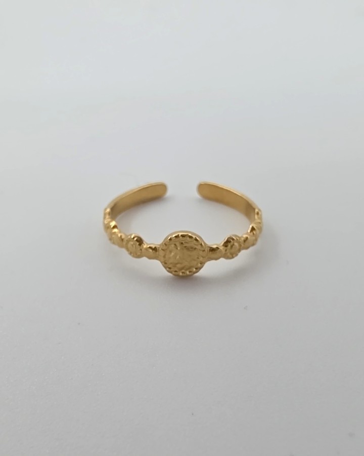 ANILLO AJUSTABLE PUNTOS - ACERO INOXIDABLE