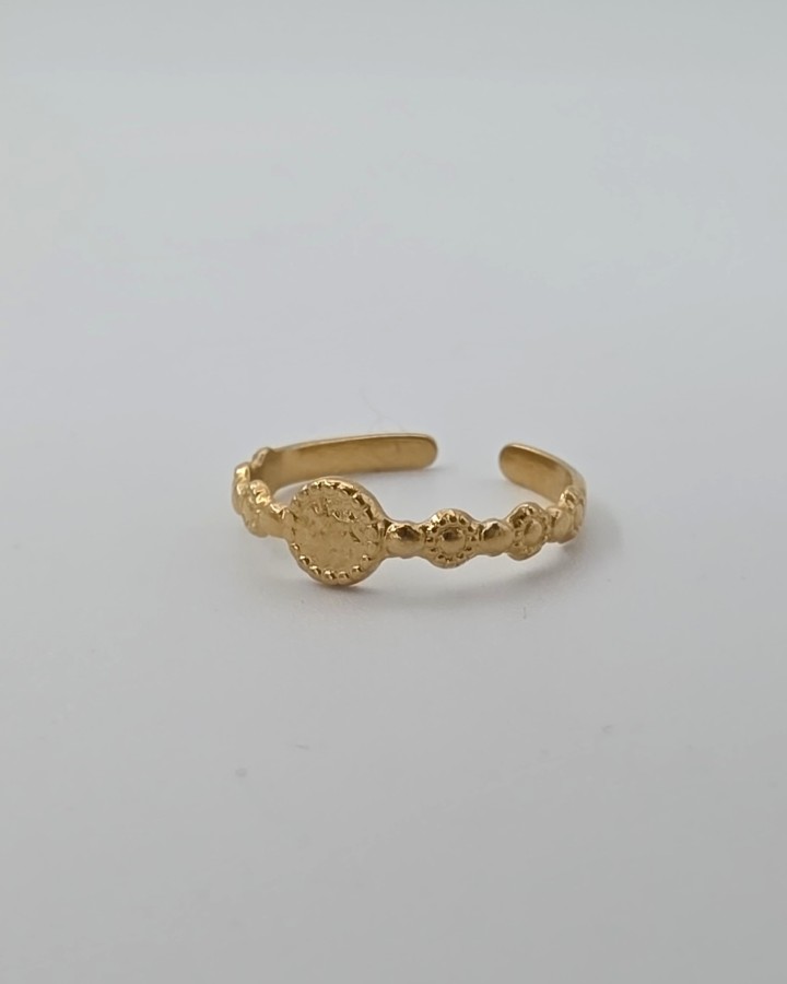 ANILLO AJUSTABLE PUNTOS - ACERO INOXIDABLE