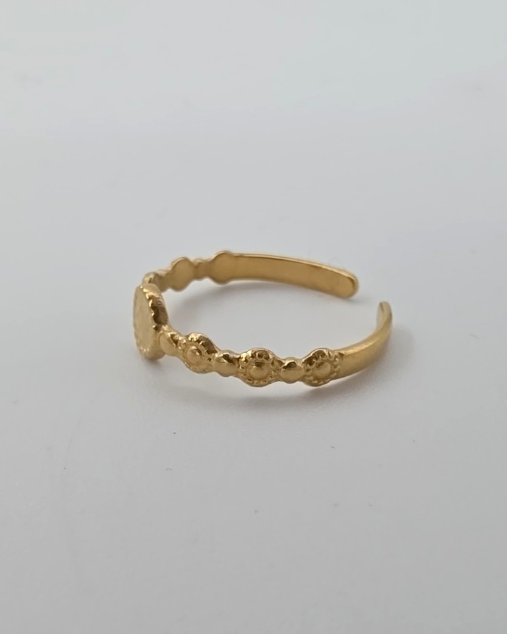 ANILLO AJUSTABLE PUNTOS - ACERO INOXIDABLE