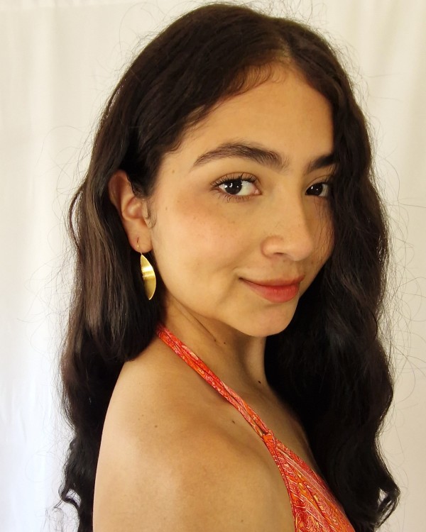 PENDIENTES LARGOS HOJA LISA - ACERO INOXIDABLE